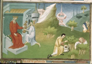 Pe. 2810 f.186, colheita da pimenta e oferta de frutos a um rei, das “Maravilhas do Mundo”, c.1410-12 (tempera à base de velino)